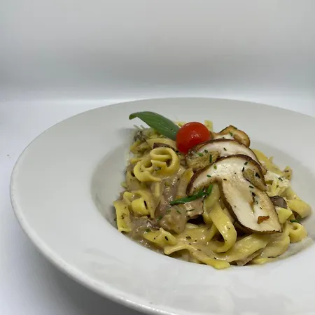 招待所 Jurcek 茨热塞